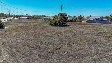 Flood Zone X. Positioned on a 1.127-acre parcel comprising nine - photo 1