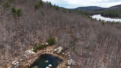 Lake Acreage For Sale in Norway, Maine