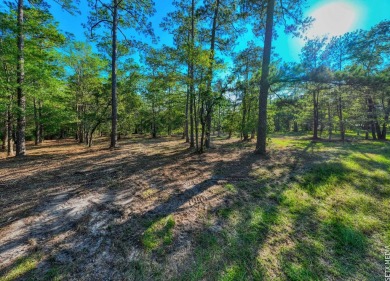  Lot For Sale in Brookeland Texas