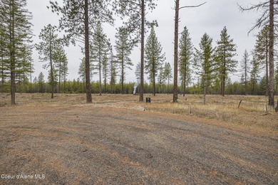 Welcome to Poirier Additions, tucked in the trees in the heart - photo 2
