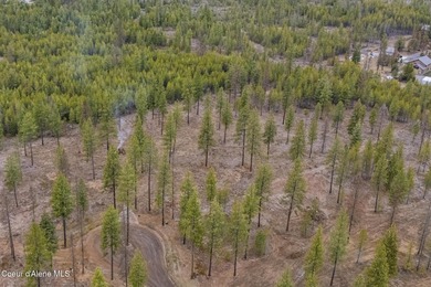 Welcome to Poirier Additions, tucked in the trees in the heart - photo 7