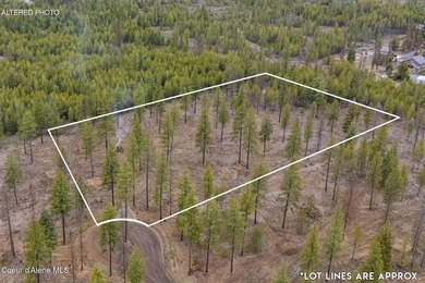 Welcome to Poirier Additions, tucked in the trees in the heart - photo 8