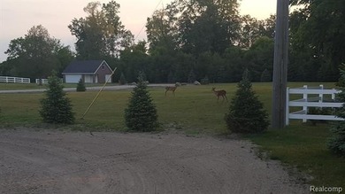 Lake Huron - Sanilac County Home For Sale in Lexington Michigan