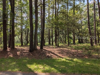 Discover the perfect place to build your Lowcountry retreat on - photo 3