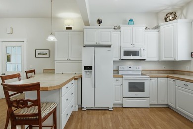 This completely updated Wabasha home is move-in ready! Located - photo 8