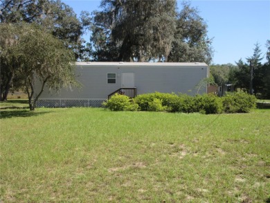 Lake Jumper Home For Sale in Silver Springs Florida