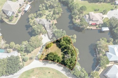 Lake Lot Off Market in Homosassa, Florida