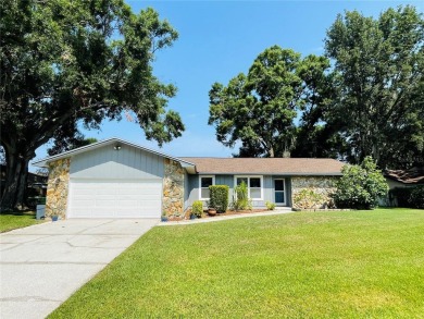 Lake Home For Sale in Land O Lakes, Florida