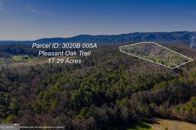 Coosawattee River Acreage For Sale in Ellijay Georgia