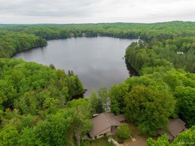 Experience the best of U.P. living in this expansive 4 - photo 1