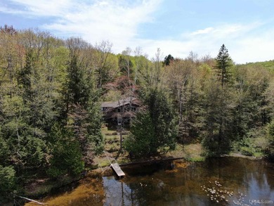 Experience the best of U.P. living in this expansive 4 - photo 2