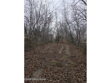 Rare development opportunity on 10+/- acres at beautiful Nolin - photo 3