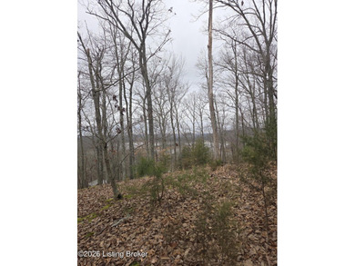 Rare development opportunity on 10+/- acres at beautiful Nolin - photo 4