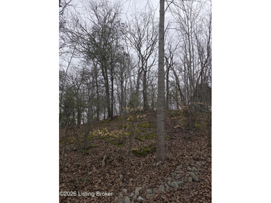 Rare development opportunity on 10+/- acres at beautiful Nolin - photo 6