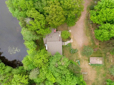 Experience the best of U.P. living in this expansive 4 - photo 6