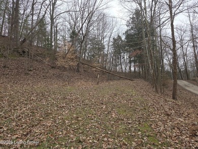 Rare development opportunity on 10+/- acres at beautiful Nolin - photo 7