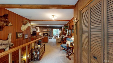 Experience the best of U.P. living in this expansive 4 - photo 7