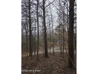 Rare development opportunity on 10+/- acres at beautiful Nolin - photo 8