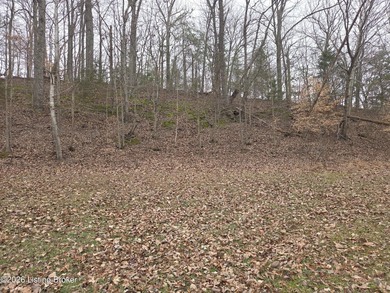 Rare development opportunity on 10+/- acres at beautiful Nolin - photo 9