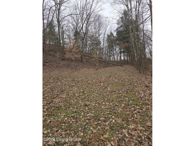 Rare development opportunity on 10+/- acres at beautiful Nolin - photo 10