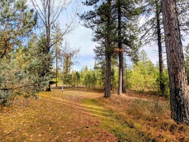 Your chance to enjoy country living in an affordable property