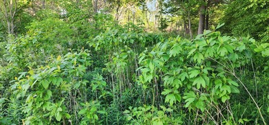 The approximately 9.75-acre site is uniquely positioned - photo 13
