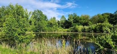 The approximately 9.75-acre site is uniquely positioned - photo 15