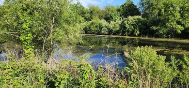 The approximately 9.75-acre site is uniquely positioned - photo 18