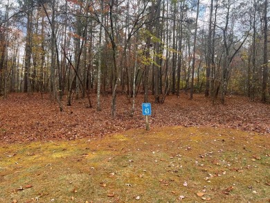 Carters Lake Lot For Sale in Ellijay Georgia