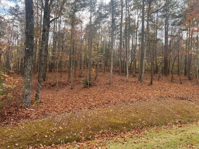 Carters Lake Lot For Sale in Ellijay Georgia