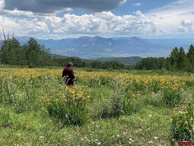 (private lake, pond, creek) Home For Sale in Hotchkiss Colorado