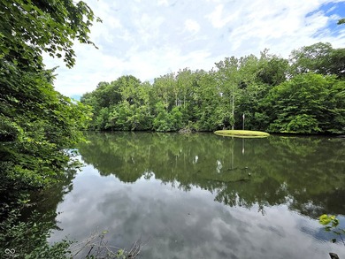Once In A Lifetime Estate with 2 separate homes on massive 13 - photo 6