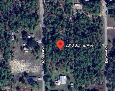 Lehigh Acres Area Lot For Sale in Alva Florida