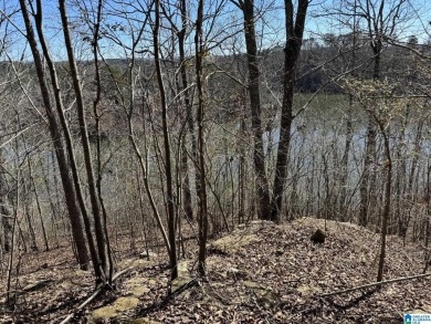 Lake Lot For Sale in Oneonta, Alabama