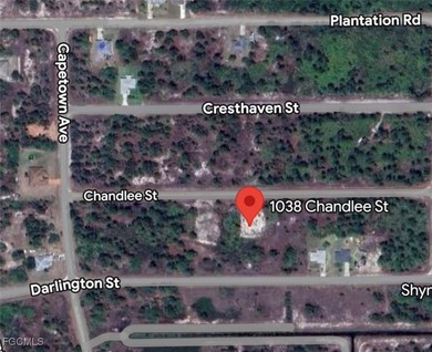 Lehigh Acres Area Lot For Sale in Lehigh Acres Florida