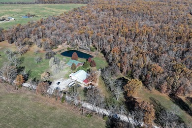 Lake Home For Sale in Norwood, Missouri