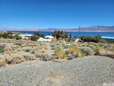 Walker Lake Lot For Sale in Walker Lake Nevada