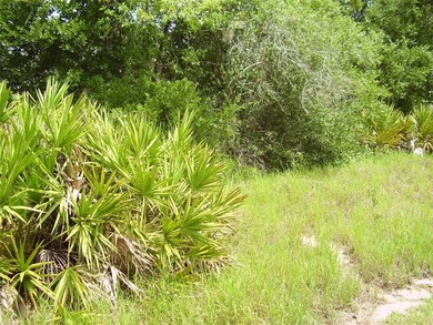 Lake Marion - Polk County Lot For Sale in Kissimmee Florida