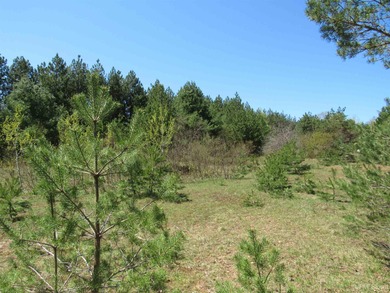 (private lake, pond, creek) Acreage For Sale in Mohawk Michigan