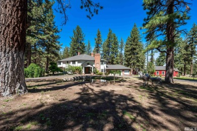 (private lake, pond, creek) Home For Sale in Washoe Valley Nevada