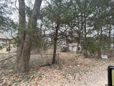 Lake Lot For Sale in Quinlan, Texas