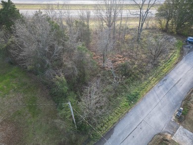 Corner lot in Monta Vista Subdivision in Bean Station - photo 1