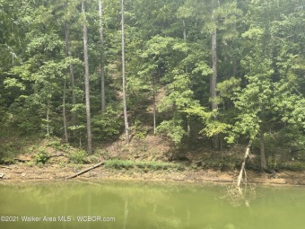 In a private cove overlooking main channel of Ryan Creek - Lake Lot For Sale in Crane Hill, Alabama