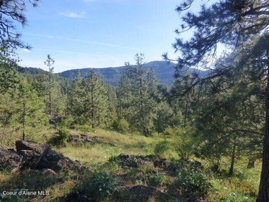 Lake Acreage For Sale in Coeur d Alene, Idaho