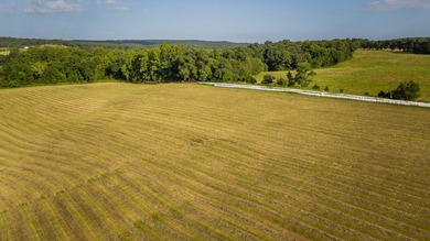Welcome to Osage Fork Farm, a premier 820+/- acre Ozark property - photo 11
