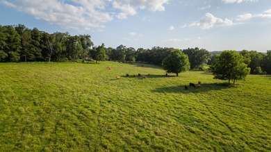 Welcome to Osage Fork Farm, a premier 820+/- acre Ozark property - photo 12