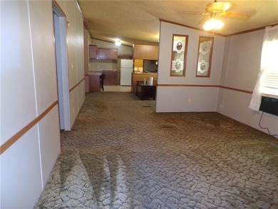 Peaceful Country Living with this 3-bedroom, 2-bath mobile home - photo 13