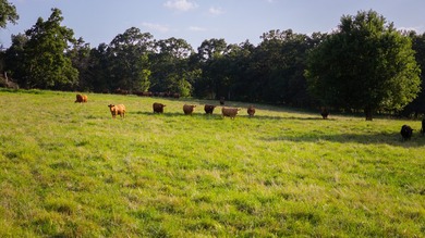Welcome to Osage Fork Farm, a premier 820+/- acre Ozark property - photo 13
