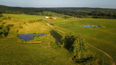 Welcome to Osage Fork Farm, a premier 820+/- acre Ozark property - photo 14