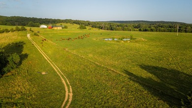 Welcome to Osage Fork Farm, a premier 820+/- acre Ozark property - photo 16